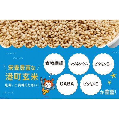 米 港町玄米 1.8kg 450g×4袋 [宮城県 気仙沼市 20564305]