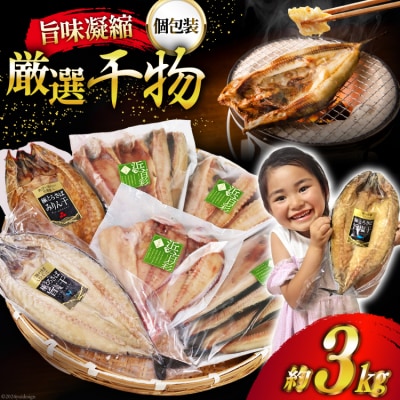 厳選魚種 干物 セット 約3kg 15枚入 20564364