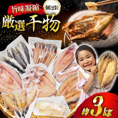 厳選魚種 干物 セット 約3kg 30枚入 [20564364]