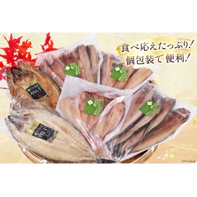 厳選魚種 干物 セット 約3kg 15枚入 20564364