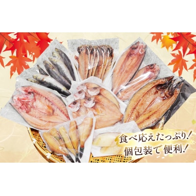 厳選魚種 干物 セット 約3kg 30枚入 [20564364]