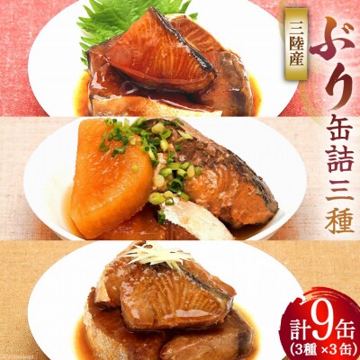 三陸産 ぶり 缶詰 食べ比べ セット 170g×9缶 3種×3缶 [20565276]