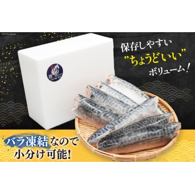 サバ フィレ 切り身 1kg [かわむら家 宮城県 気仙沼市 20565473]