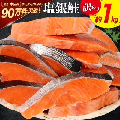 訳あり 鮭 切身 約1kg [宮城東洋 宮城県 気仙沼市 20564663] サーモン | ふるさと納税のお礼品