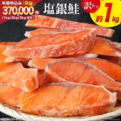 訳あり 銀鮭 切身 約1kg [宮城東洋 宮城県 気仙沼市 20564663]