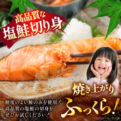 訳あり 減塩 塩鮭 切身 総重量 800g [20565550]