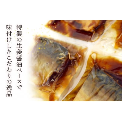 さば生姜煮 1切入×12袋 [気仙沼市物産振興協会 宮城県 気仙沼市 20563296]