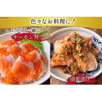 訳あり トロサーモン 切り落とし 1kg (125g×8p) 無添加 個包装 20565737