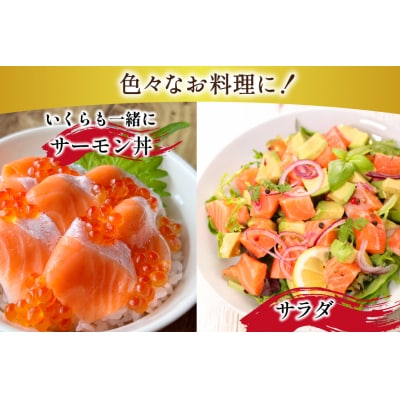 訳あり トロサーモン 切り落とし 1kg (125g×8p)  個包装[足利本店 20565737]