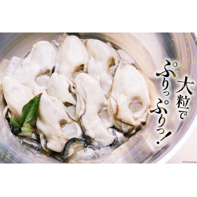 【期間限定発送】 牡蠣 計1kg (約26‐44個入) むき身 生食用 20564824