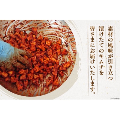 【期間限定発送】 手作り キムチ 3種 各300g×3p 計900g [20564921]