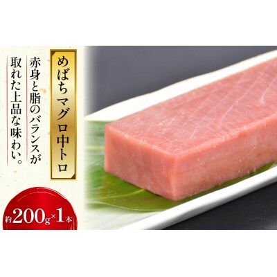 北かつのマグロ上質セット 計1kg 20563511