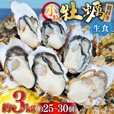 【期間限定発送】 牡蠣 小粒 1～1年半モノ 生食 殻付き牡蠣 約3kg  20565054