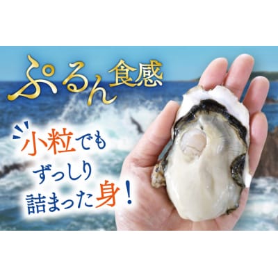 【期間限定発送】 牡蠣 小粒 1～1年半モノ 生食 殻付き牡蠣 約2kg [20565055]