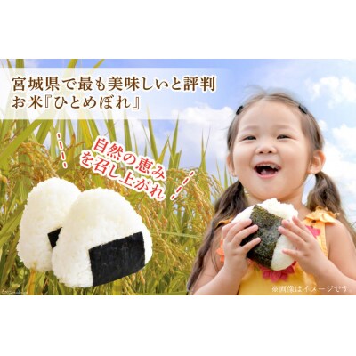 3回 定期便 米 宮城県産 つや姫 & ひとめぼれ 各2kg 総計 12kg 20564922