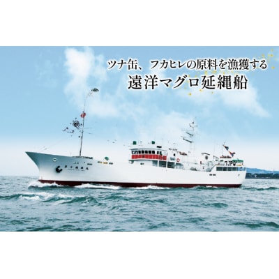 詰め合わせ 気仙沼ツナ缶 ふかひれ濃縮スープ Rふかひれ姿煮 3品 セット 20565059