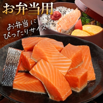 訳あり 鮭 骨取り 【お弁当用】 1.5kg サーモン 無塩 切身 [20565153] 鮭切身