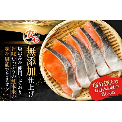 銀鮭 切り身 2kg うす塩 バラ 冷凍 [かわむら家 宮城県 気仙沼市 20565445]