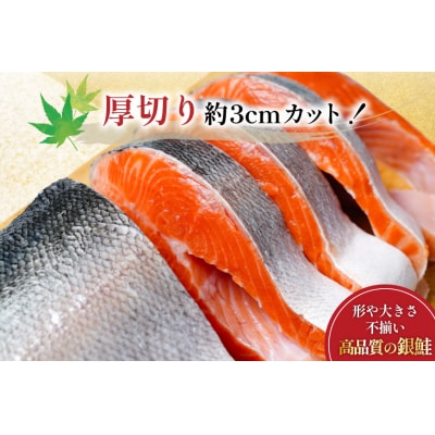 訳あり 無添加 減塩 塩銀鮭 【厚切り】 切身 総重量 3kg [足利本店 20565553]