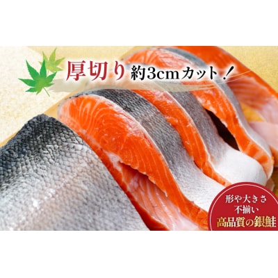 訳あり 無添加 減塩 塩銀鮭 【厚切り】 切身 総重量 750g [足利本店 20565787]