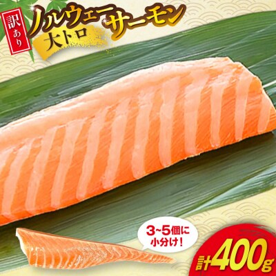 訳あり 無添加 ノルウェー産 アトランティックサーモン 大トロ 400g 20565658