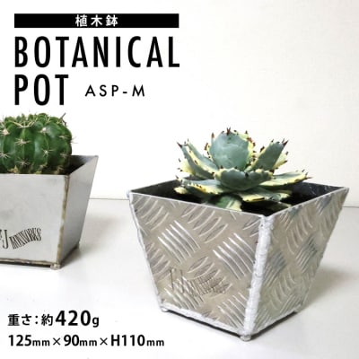 植木鉢 BOTANICAL POT ASP-M 1点 [20564998]