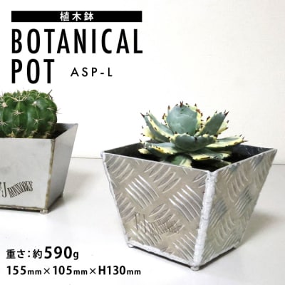 植木鉢 BOTANICAL POT ASP-L 1点 [20564999]
