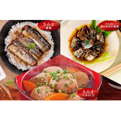 三陸食堂 煮魚 惣菜 セット 3種 9パック 阿部長商店 宮城県 気仙沼市 20565440