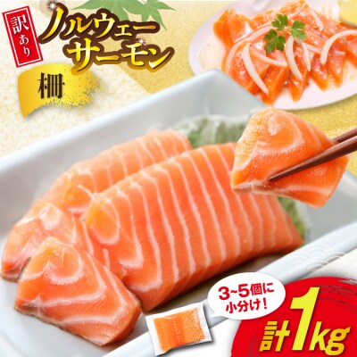 訳あり 無添加 ノルウェー産 アトランティックサーモン 柵 生食用 総重量 1kg 20565593