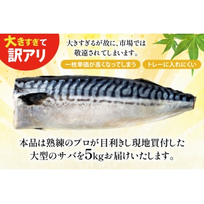 訳あり 塩 サバ フィレ 5kg [足利本店 宮城県 気仙沼市 20565496] さば 鯖