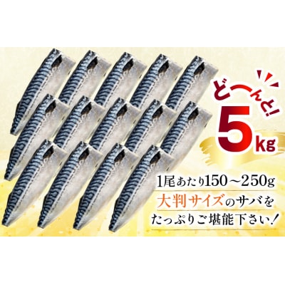 訳あり 塩サバ フィレ 5kg [足利本店 宮城県 気仙沼市 20565496]