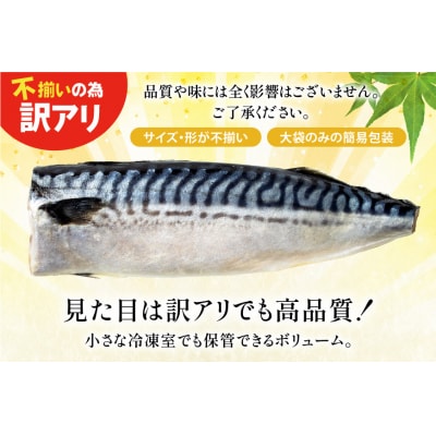 訳あり 減塩 無添加 トロ塩サバ フィレ Mサイズ 総重量 2kg 20565167