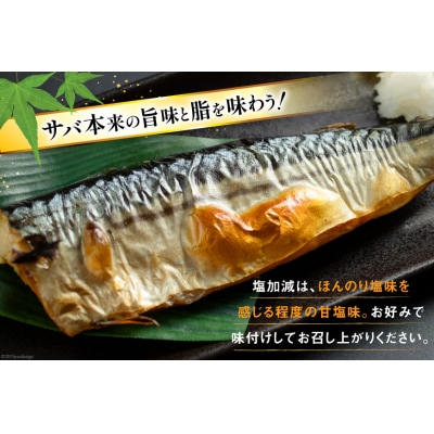 訳あり 塩サバ フィレ 2kg [足利本店 宮城県 気仙沼市 20565167]