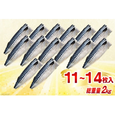 訳あり 減塩 無添加 トロ塩サバ フィレ Mサイズ 総重量 2kg 20565167