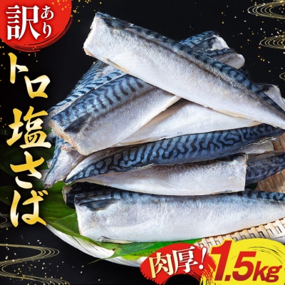 訳あり 塩サバ フィレ 1.5kg [足利本店 20565942]