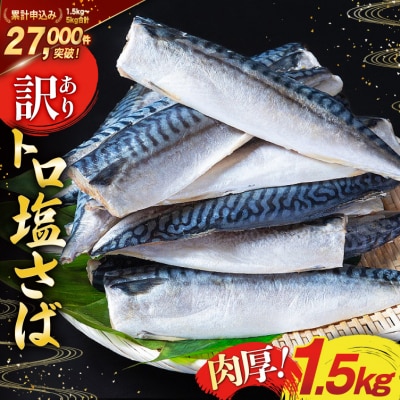 訳あり 塩サバ フィレ 1.5kg [足利本店 20565942] さば 鯖