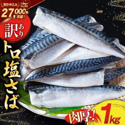 訳あり 塩サバ フィレ 1kg [足利本店 20565942] さば 鯖