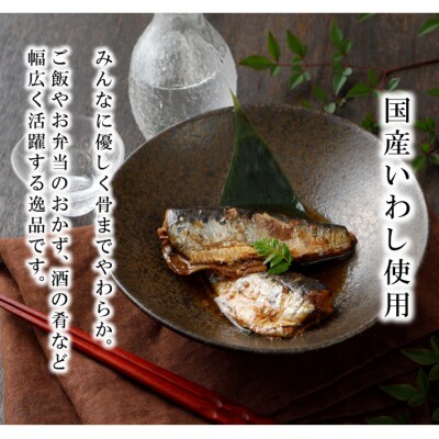 3回 定期便 訳あり 業務用 いわし煮魚 総重量 約4.5kg [気仙沼市 20565563] 