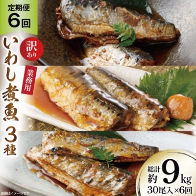6回 定期便 訳あり 業務用 いわし煮魚 総重量 約9kg [気仙沼市 20565564] 