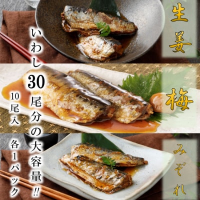 6回 定期便 訳あり 業務用 いわし煮魚 総重量 約9kg [気仙沼市 20565564] 