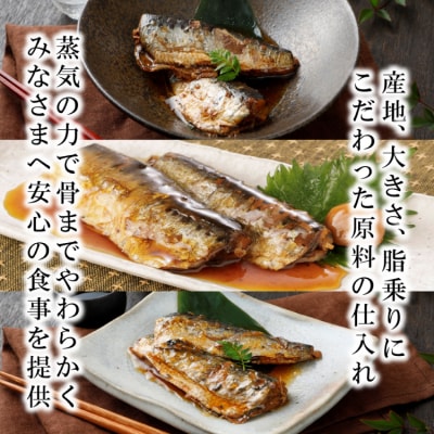 6回 定期便 訳あり 業務用 いわし煮魚 総重量 約9kg [気仙沼市 20565564] 
