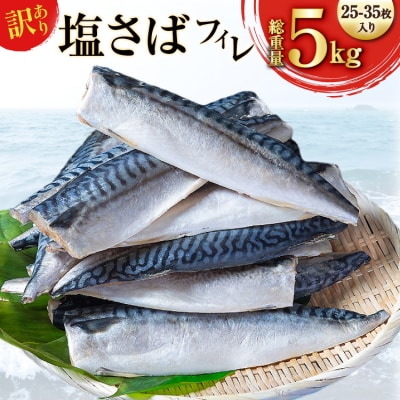 訳あり 減塩 無添加 塩サバ フィレ 総重量 5kg (25-35枚入)[20565571]
