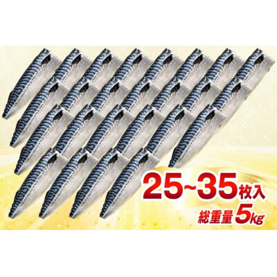 訳あり 減塩 無添加 トロ塩サバ フィレ Mサイズ 総重量 5kg 20565571