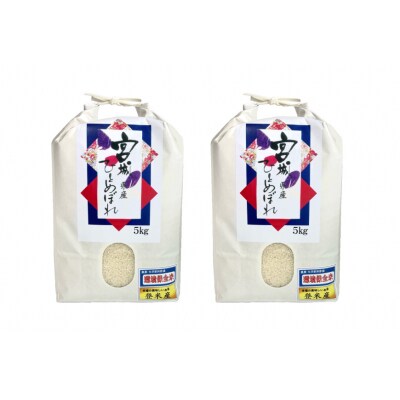 6回 定期便 米 ひとめぼれ 10kg (5kg ×2袋) 総計 60kg [20565602] 