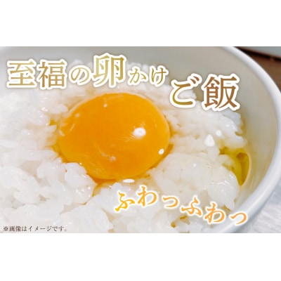 6回 定期便 米 ひとめぼれ 10kg (5kg ×2袋) 総計 60kg [20565602] 
