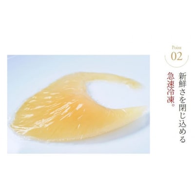 ふかひれ姿煮 紅焼姿煮50g [石渡商店 宮城県 気仙沼市 20565574] 