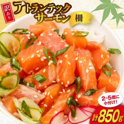 訳あり ノルウェー産 アトランティック サーモン はしっこ柵 尾っぽ柵 900g 20565735