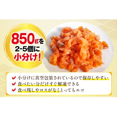訳あり ノルウェー産 アトランティック サーモン はしっこ柵 尾っぽ柵 900g 20565735