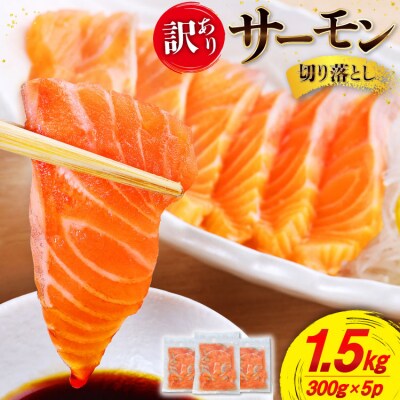 訳あり サーモン 切り落とし おさしみ用 1.6kg 160g x10p [20565989] 