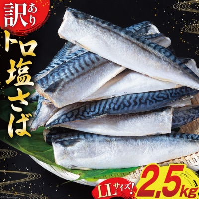訳あり さば トロ 塩サバ フィレ LLサイズ2.5kg ★フィレ1枚230g超え 20565620